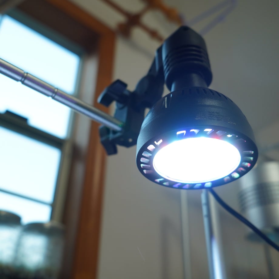 6161ba26603feb0cd53e8ea9
