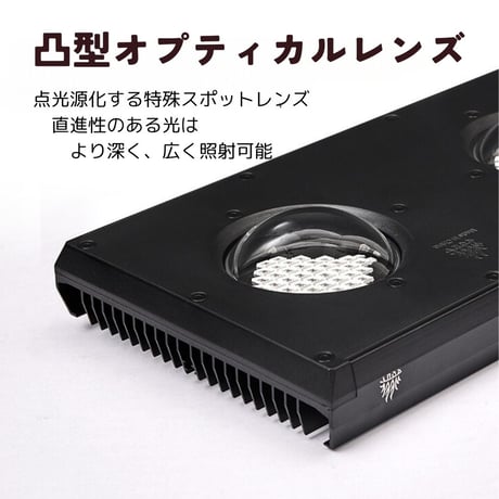 NEW AQUA FLARE UVA Z250 RGB TH