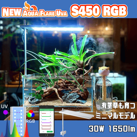 イモリウム | STORES イモリウム | STORES
