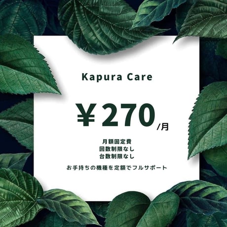 Kapura Care 第2期（延長補償1ヶ月毎更新）