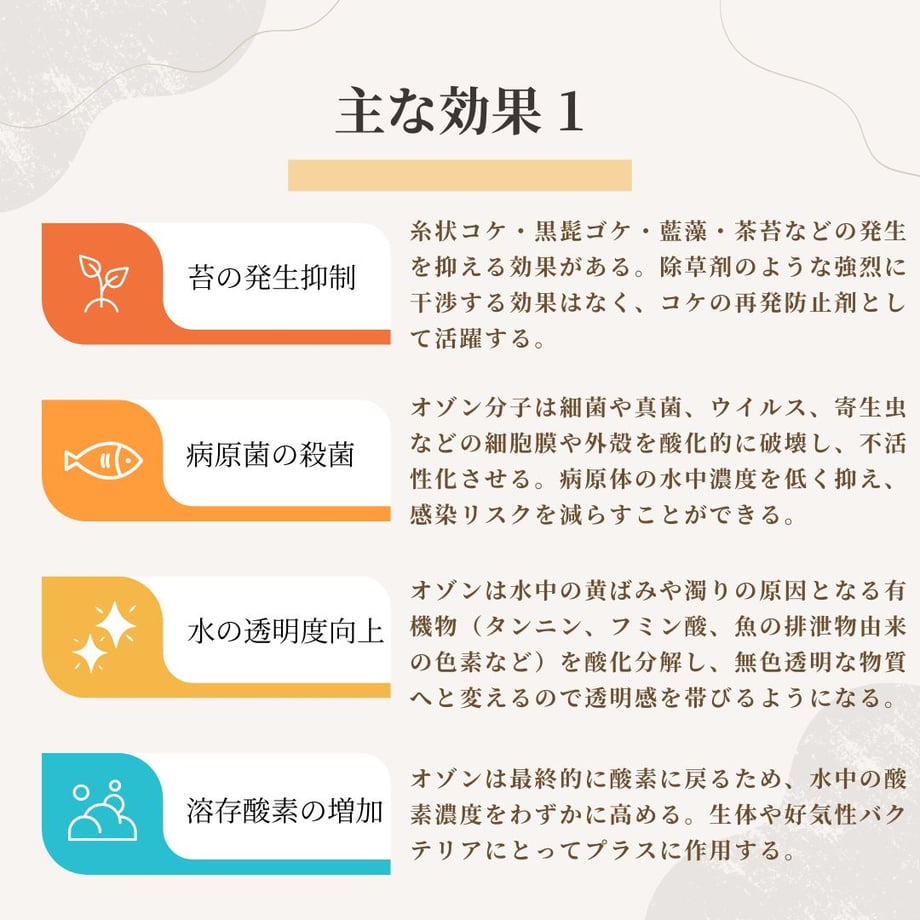 6406b724fd12d12f2564478f