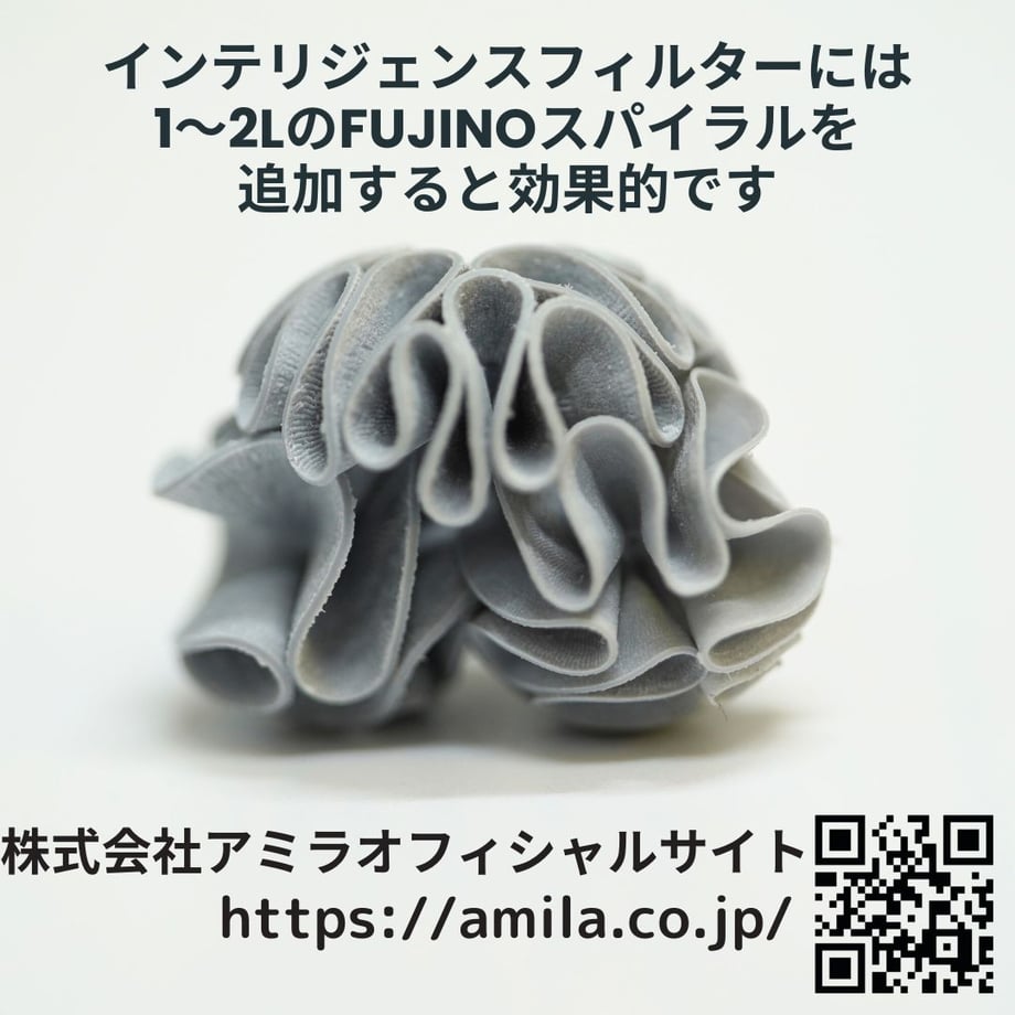 67dc33a72358c63adf395b25
