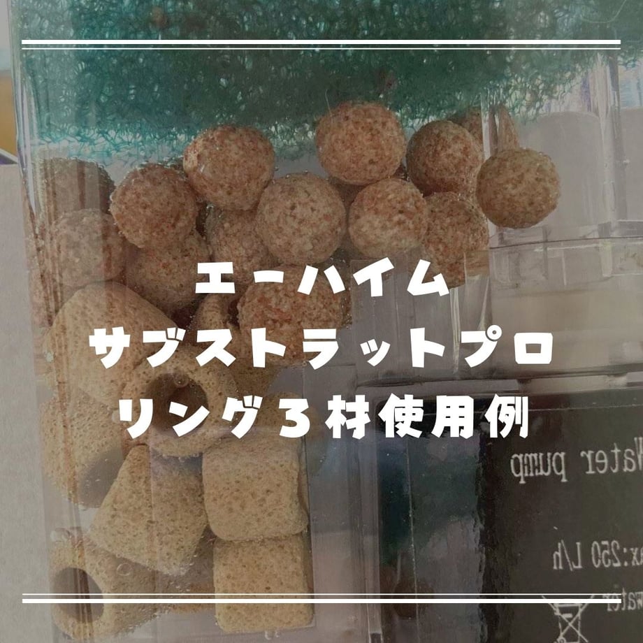 65f67a85e47f10138664ce7b