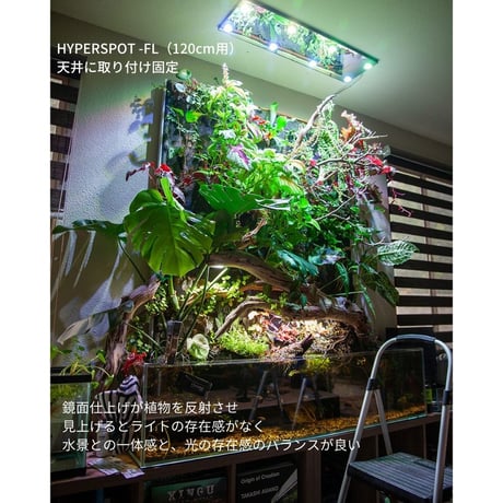 SKYLIGHT HYPERSPOT Fシリーズ