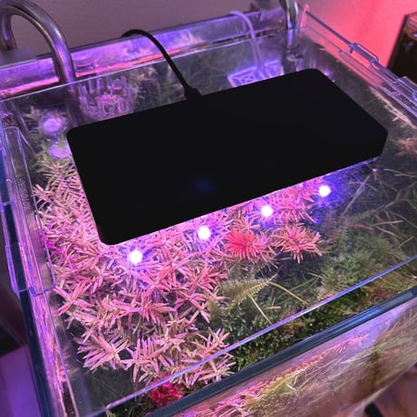 NEW AQUA FLARE UVA MINI 9 RGB（小型水槽用）