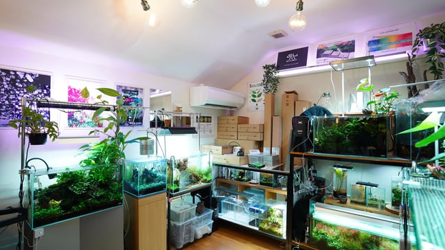 アクアリウム LEDライト専門店 KAPURA AQUA SYSTEMS