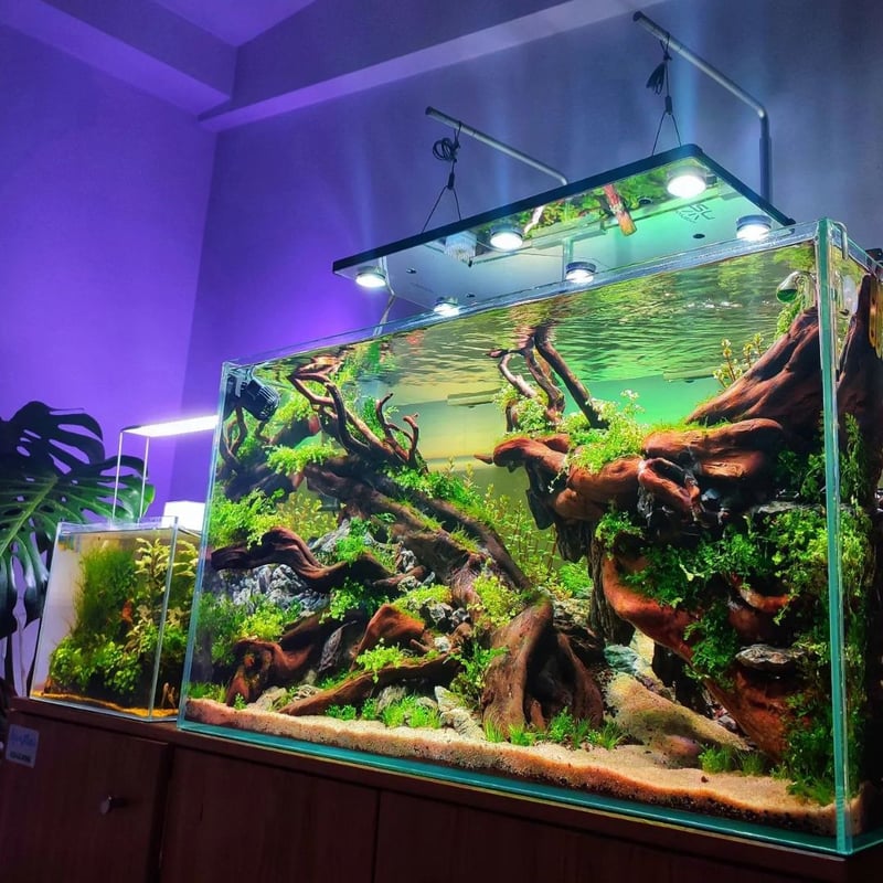 FLAT LED 900 水草育成用ライト 【公式通販】