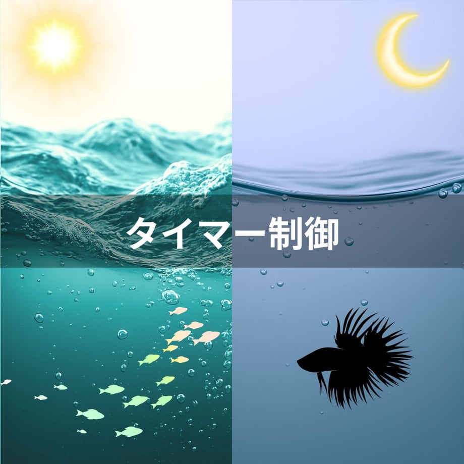 67dc33a72358c63adf395b25