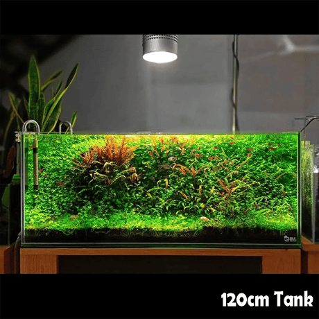 NEW AQUA FLARE UVA T90 RGB TH
