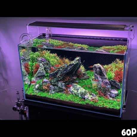 NEW AQUA FLARE UVA M1200 RGB（旧版）