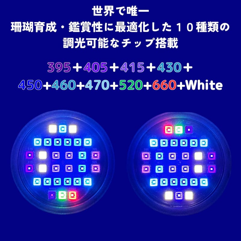 海水水槽LED サンゴ育成 ハードコーラル SPS/LPS ソフトコーラル