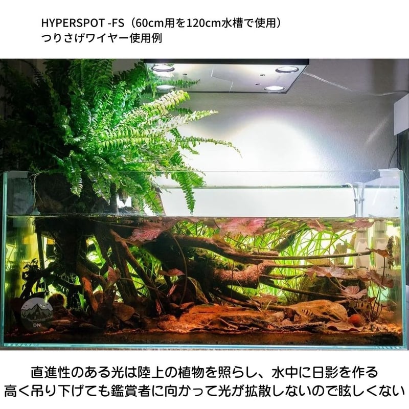 1200水槽 水槽 120cm ガラス水槽 【120×20×40cm 83L】 クリスティスリム