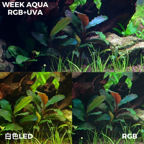 NEW AQUA FLARE UVA L600/L900/L1200 RGB TH