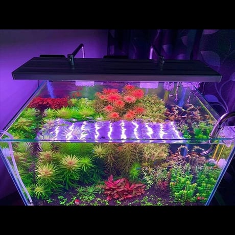 NEW AQUA FLARE UVA L900 RGB（旧版）