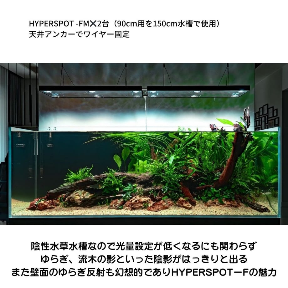 66fd051cff407e0235fcbb81