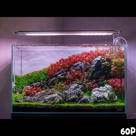 NEW AQUA FLARE UVA M1200 RGB（旧版）