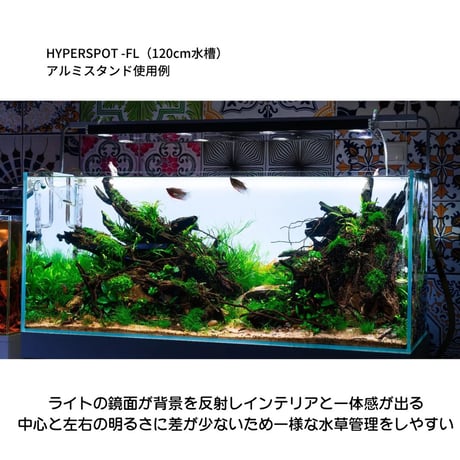 SKYLIGHT HYPERSPOT Fシリーズ