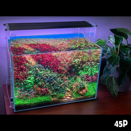 NEW AQUA FLARE UVA M1200 RGB（旧版）