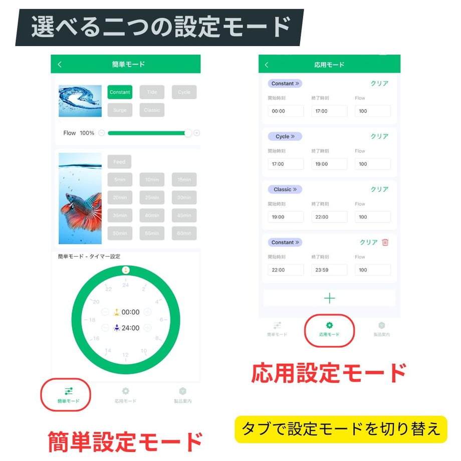 67dc33a72358c63adf395b25