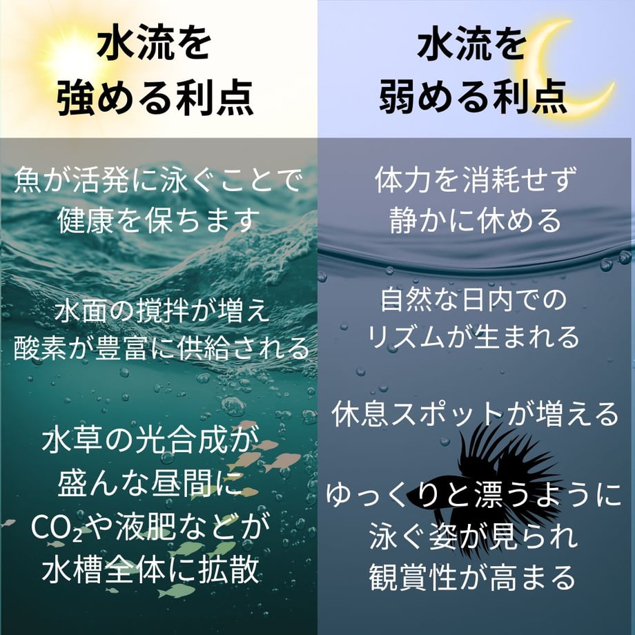 67dc33a72358c63adf395b25