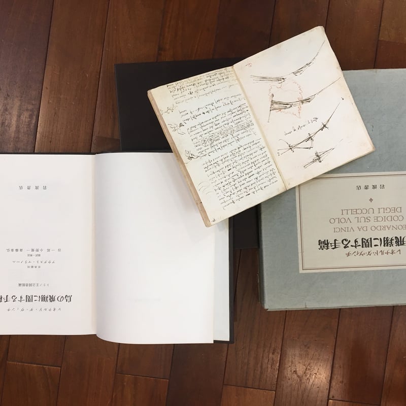 レオナルドの手稿、素描・素画に関する基礎的研究 Amazon.co.jp: レオナルドの手稿、素描・素画に関する基礎的研究