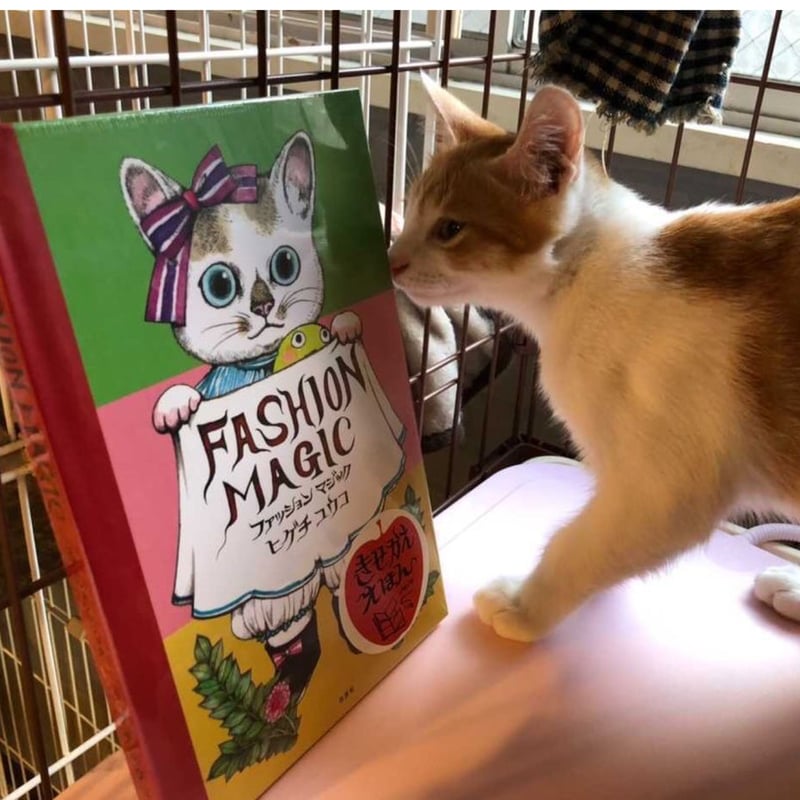 FASHION MAGIC | ドッキャイスタ オンラインショップ