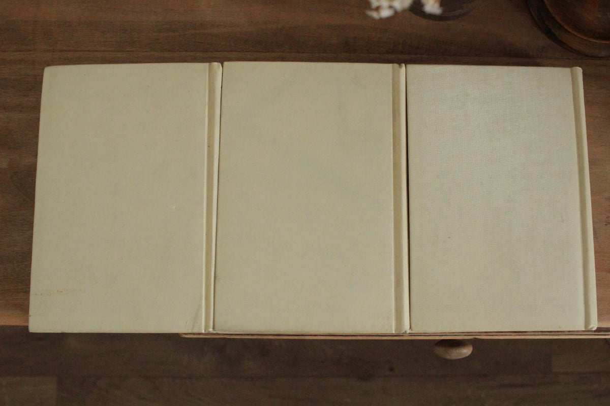 3booksフランス古書 NELSON (数量3) | Antique & Brocante