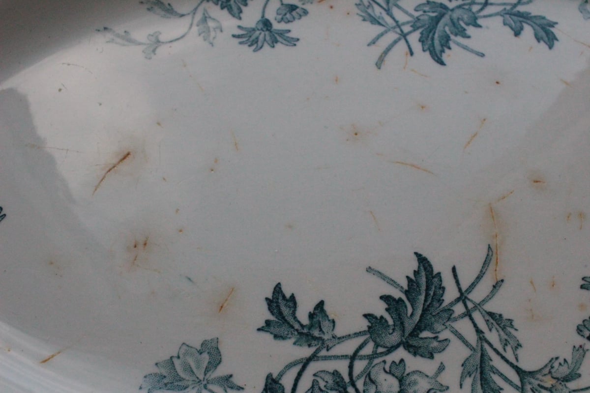 Sarreguemines 【サルグミンヌ】ELVIRE・オーバルプレート | Antique