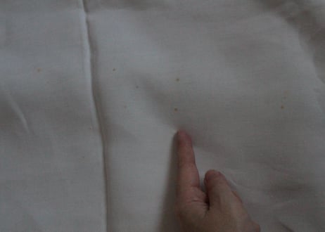 France Antique Linge Ancien Feuilles MONOGRAM“ML”大判シーツ