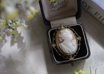 【B】Antique Shell Cameo Brooch