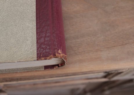 フランス古書 『The Book of Fine Linen』