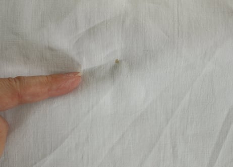 France Antique Linge Ancien Feuilles MONOGRAMピュアリネンの大判シーツ