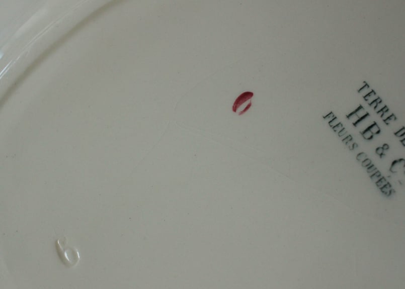 送料込み】Choisy le Roi【ショワジールロワ】 H.B.&Cie 切花・大判