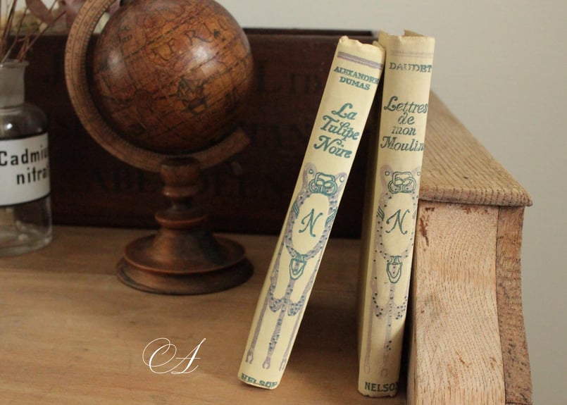 アンティーク古書【ネルソン】Nの本 3冊セット アンティーク古書【ネルソン】Nの本 3冊セット ネルソン本3冊set | 360