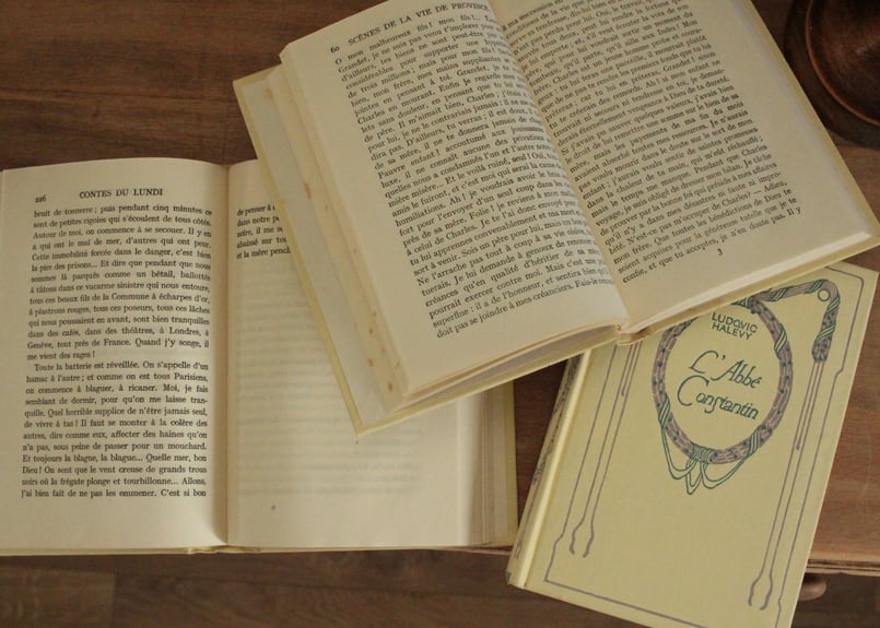 ビンテージ洋書　ネルソン社　フランス小説 1930年代　2冊セット ビンテージ洋書 ネルソン社 フランス小説 1930年代 2冊セット