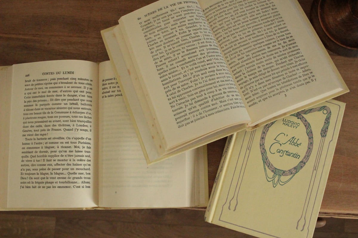 2booksフランス古書 NELSON (数量3) | Antique & Brocante