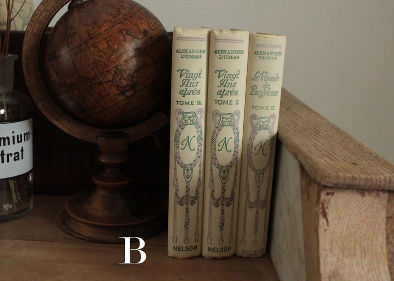 3booksフランス古書 NELSON (数量3) | Antique & Brocante