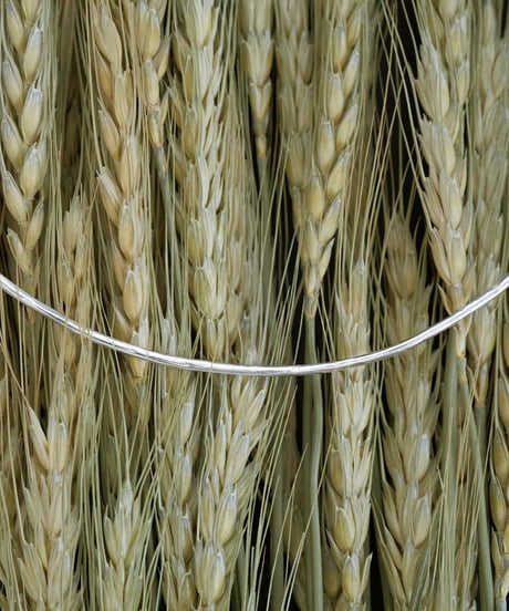 Twig choker