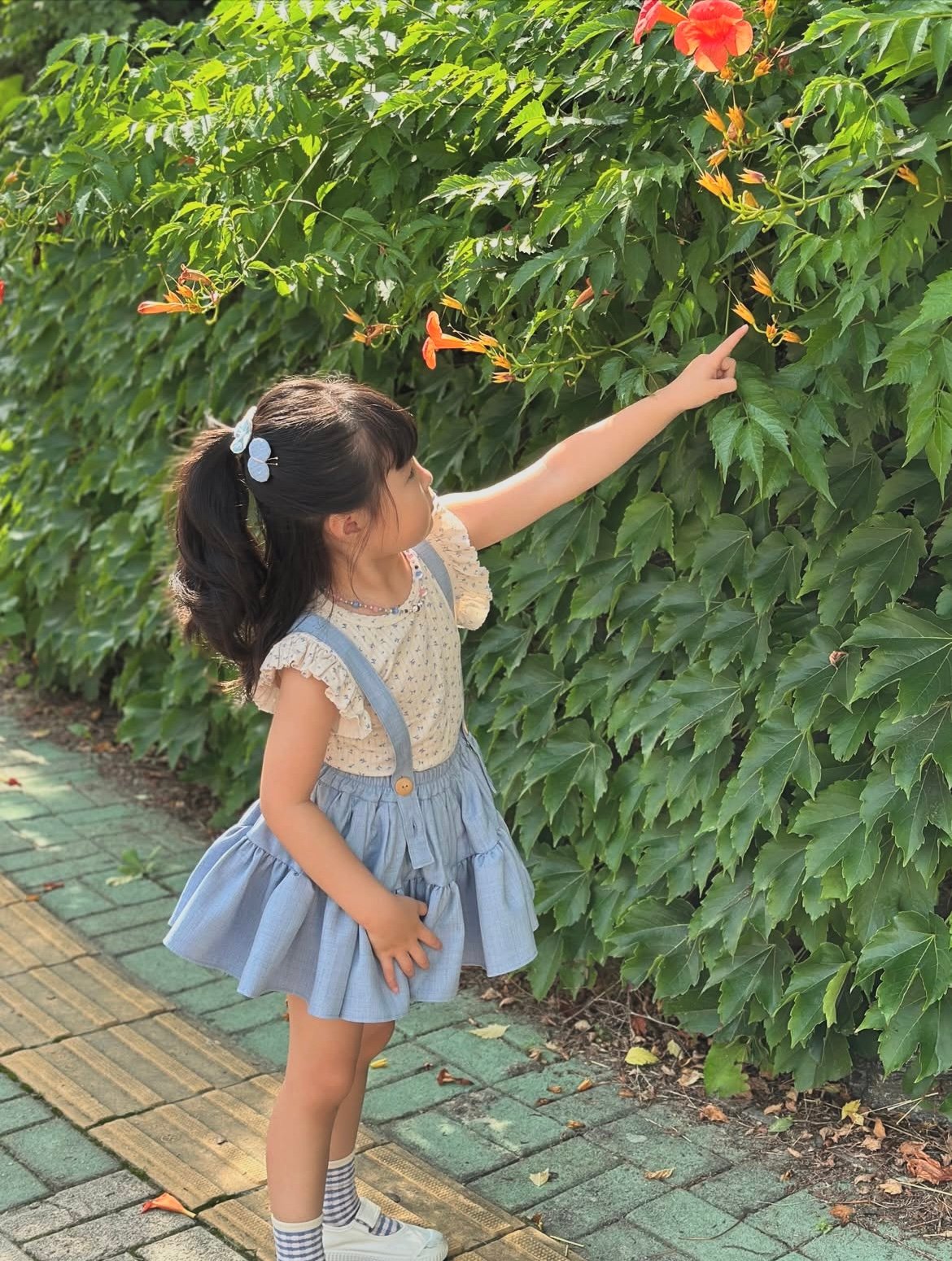 Wonny Ribbon【即納】(残りL) Grace skirt (cotton sky)