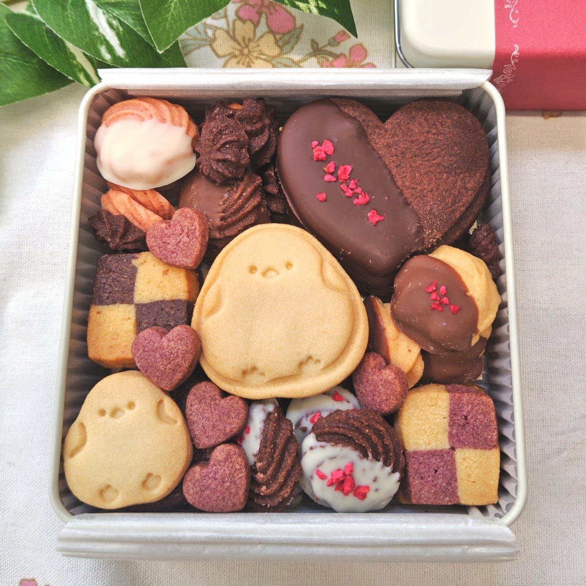 p(R)jectR バレンタイン Jawbreaker Z FLX Captain's Raptor – Black Swamp Discs