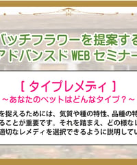 【見逃し配信】アドバンスドWEBセミナー【タイプレメディ】