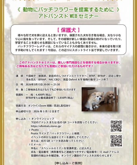 【見逃し配信】アドバンスドWEBセミナー【保護犬】
