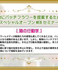 【見逃し配信】アドバンスドWEBセミナー【猫の行動学】