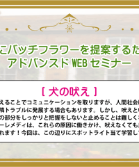 アドバンスドWEBセミナー【犬の吠え】