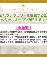 【見逃し配信】アドバンスドWEBセミナー【保護猫】