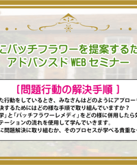アドバンスドWEBセミナー【問題行動の解決手順】