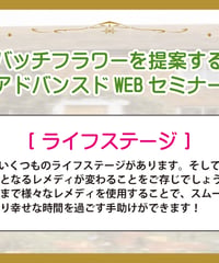 【見逃し配信】アドバンスドWEBセミナー【ライフステージ】