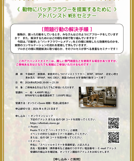 アドバンスドWEBセミナー【問題行動の解決手順】