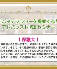 【見逃し配信】アドバンスドWEBセミナー【保護犬】