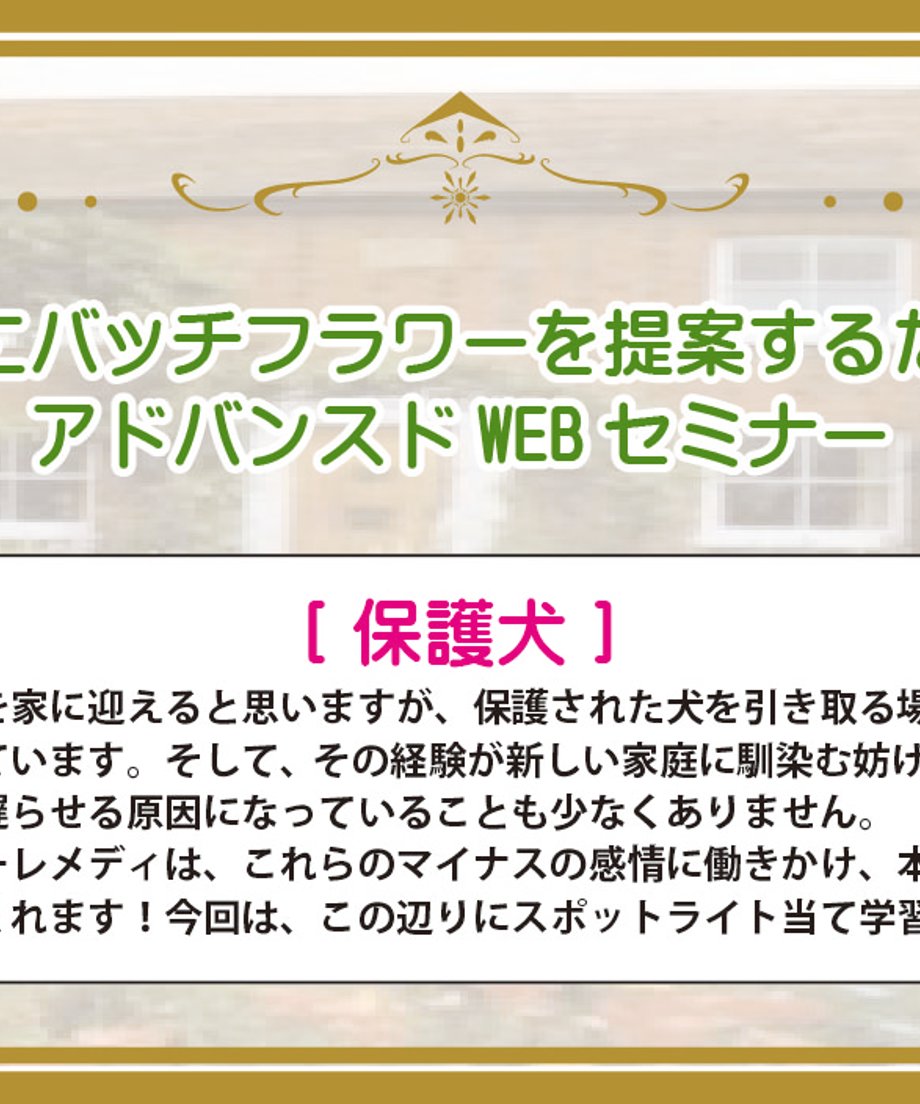 69f2b368a51c74bc8e3e3f57
